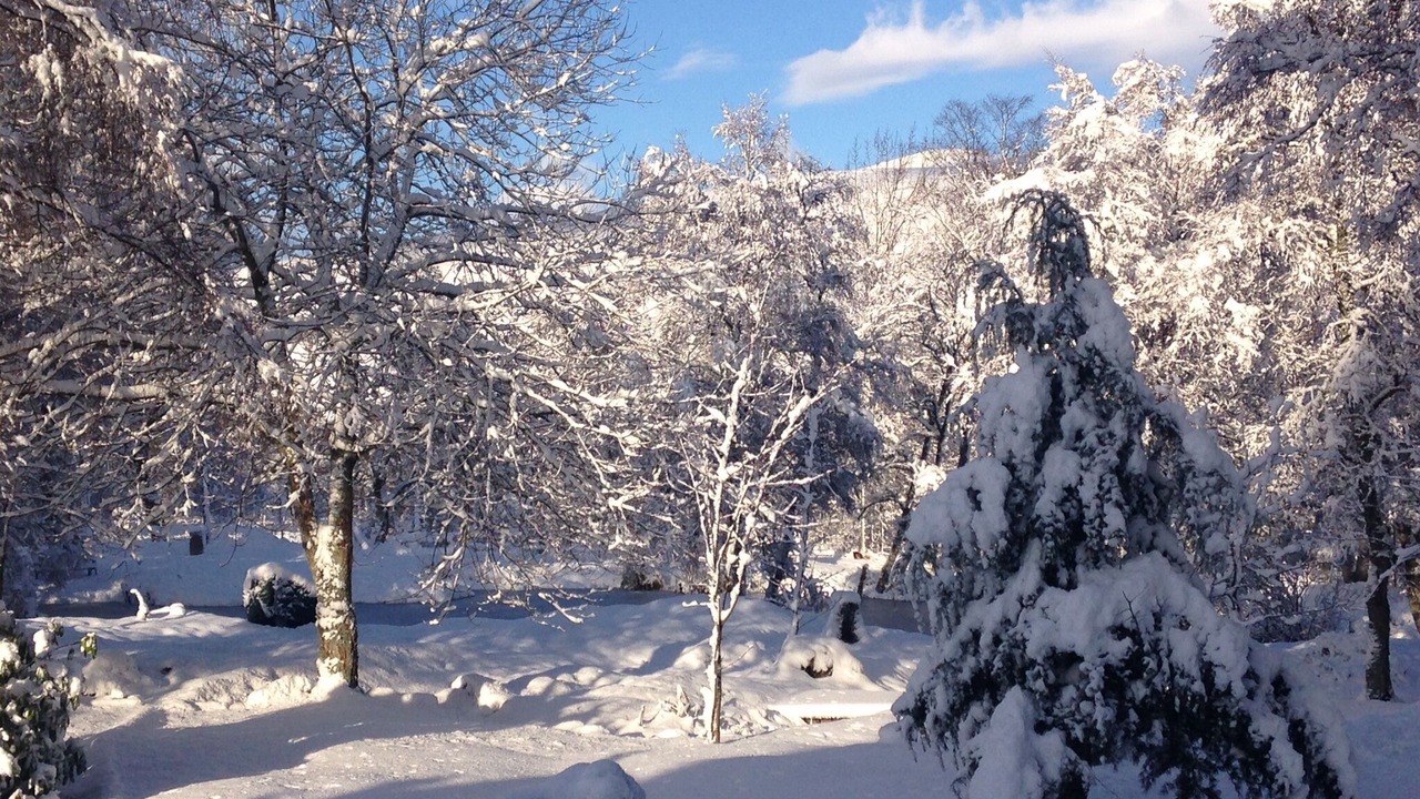 Photo of Outdoor in Braemar