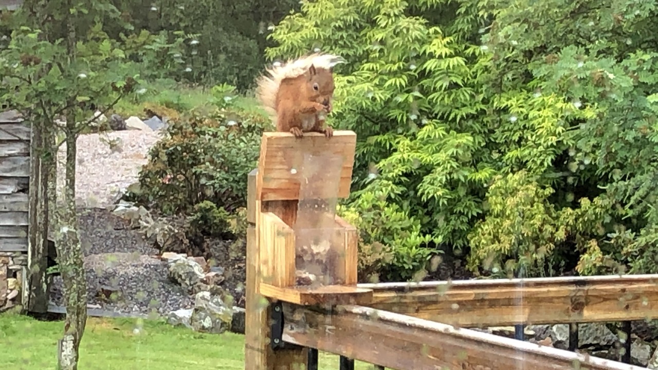 Photo of Others in Braemar