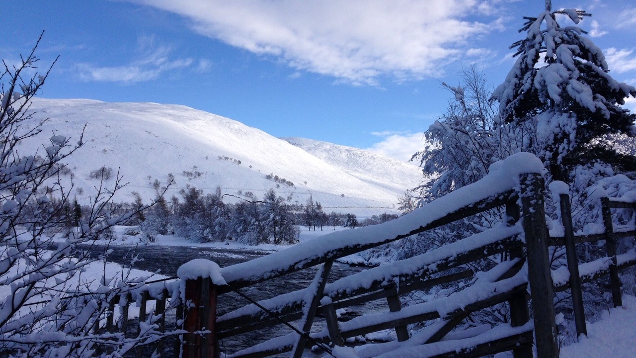 Photo of Others in Braemar