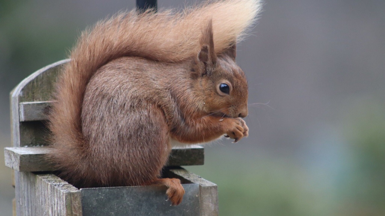 Photo of Outdoor in Braemar