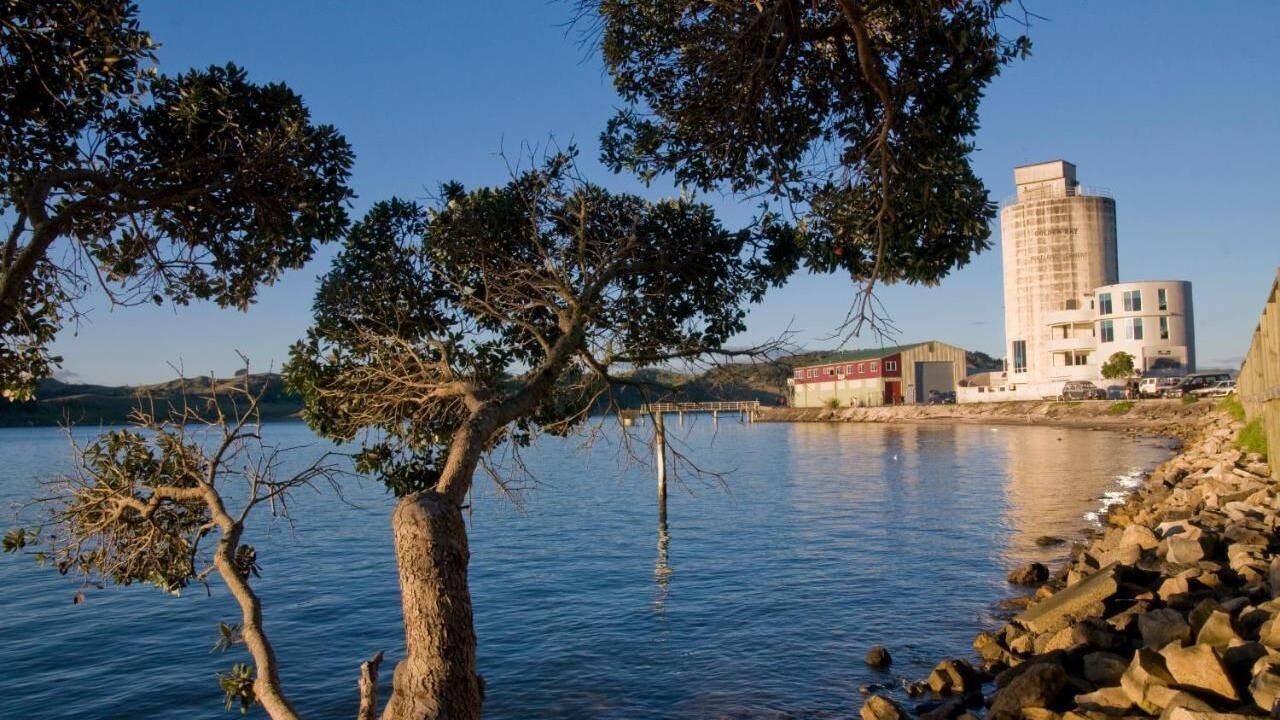 Photo of Others in Raglan