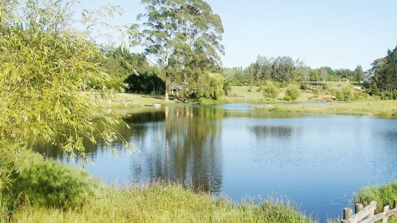 Photo of Outdoor in Kerikeri
