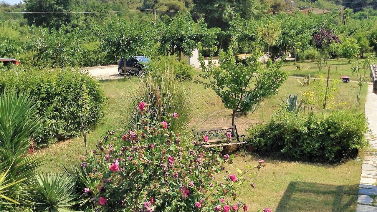 Photo of Outdoor in Aristotelis