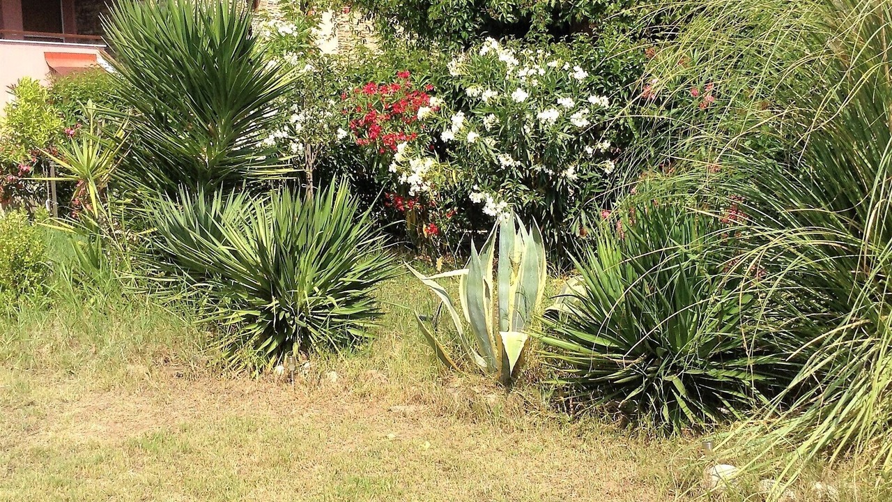 Photo of Outdoor in Aristotelis