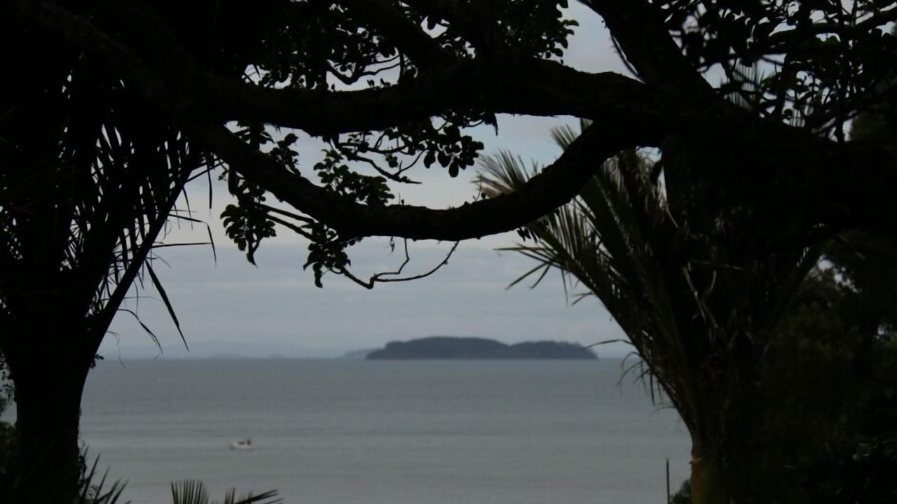 Photo of Others in Tawharanui