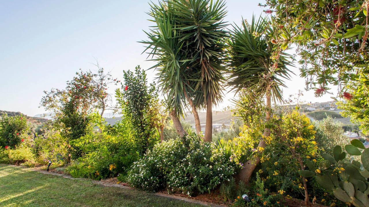Photo of Outdoor in Heraklion