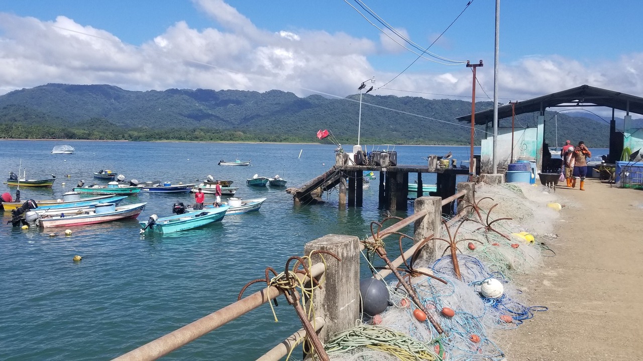 Photo of Others in Tambor