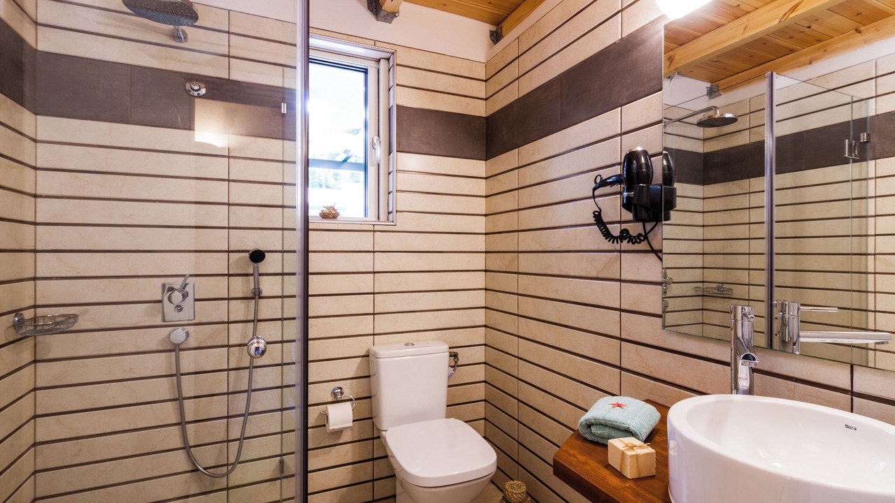 Photo of Bathroom in Monodendri
