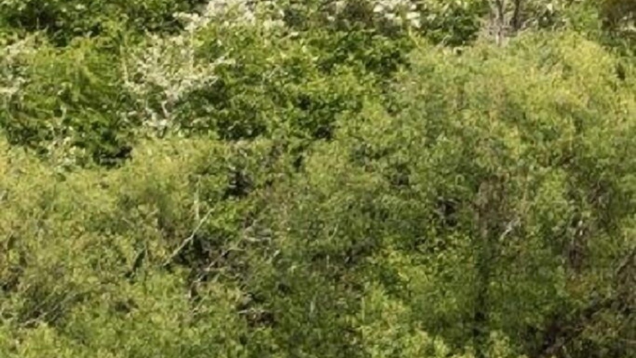 Photo of Outdoor in Hadspen