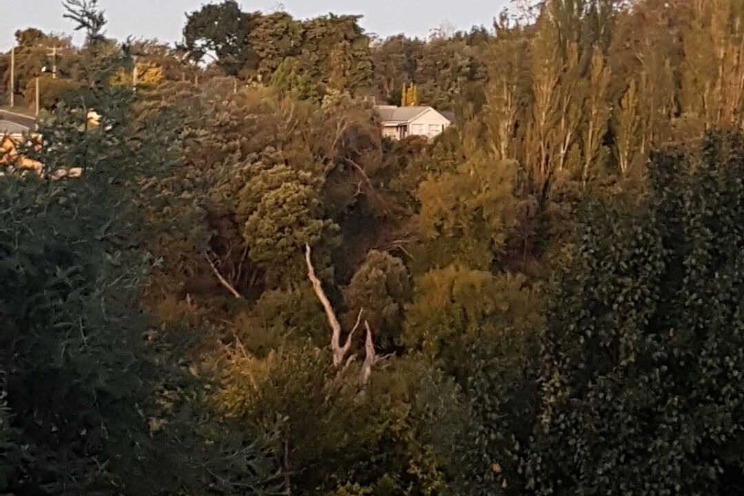 Photo of Others in Hadspen