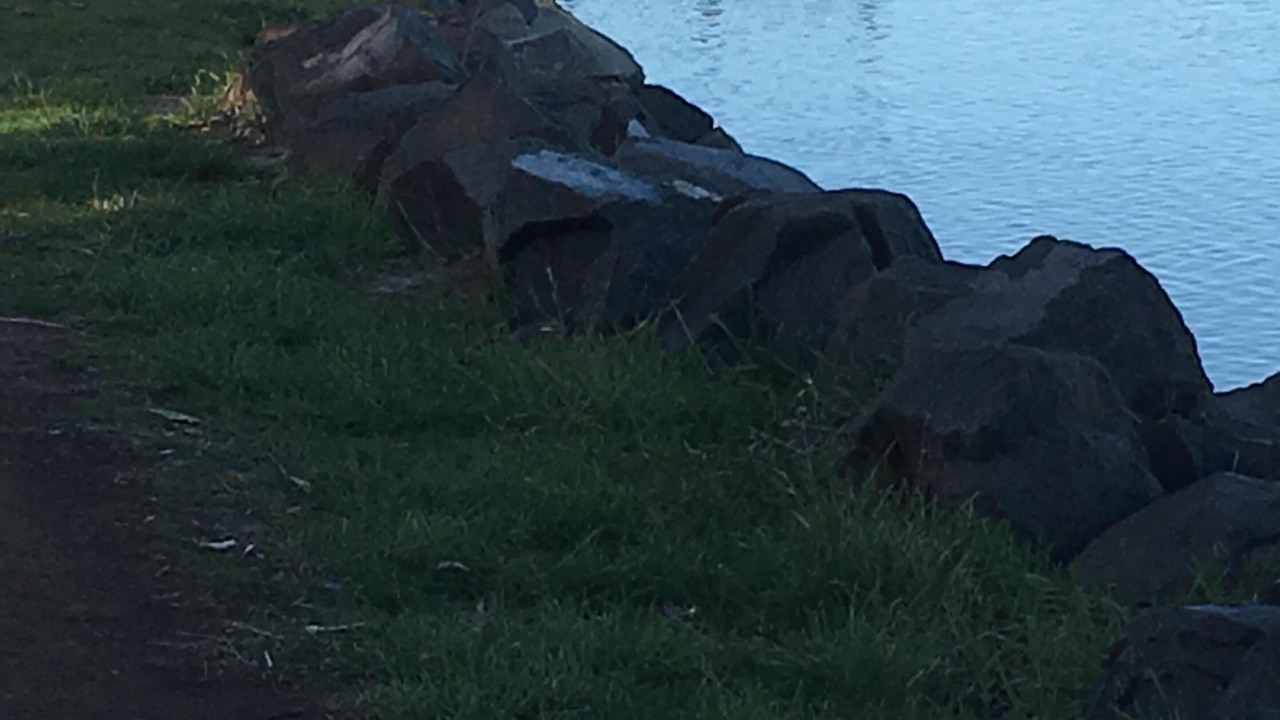 Photo of Others in Orford