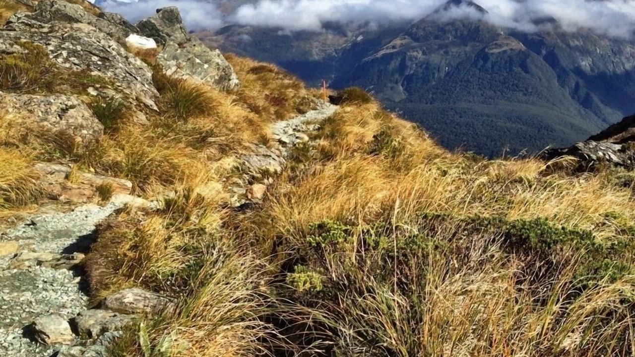 Photo of Others in Glenorchy