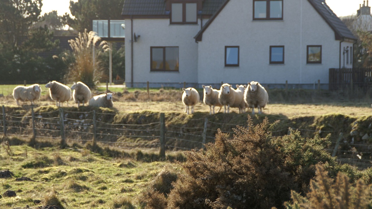 Photo of Outdoor in Brora