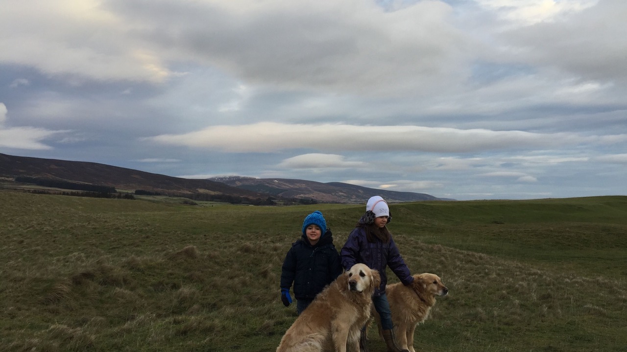 Photo of Others in Brora
