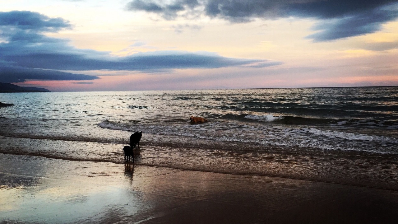 Photo of Others in Brora