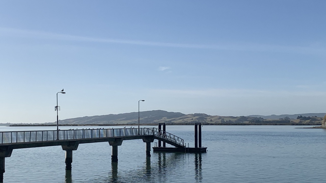 Photo of Outdoor in Onerahi