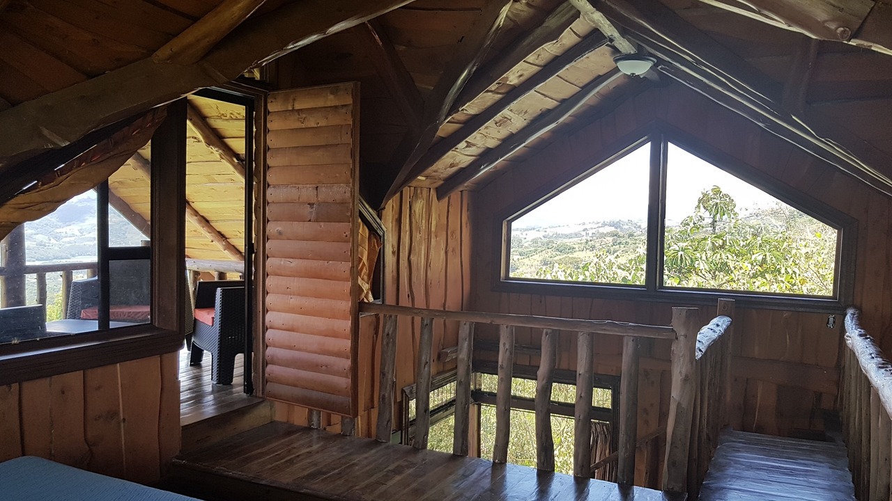 Photo of Patio Balcony in Santiago