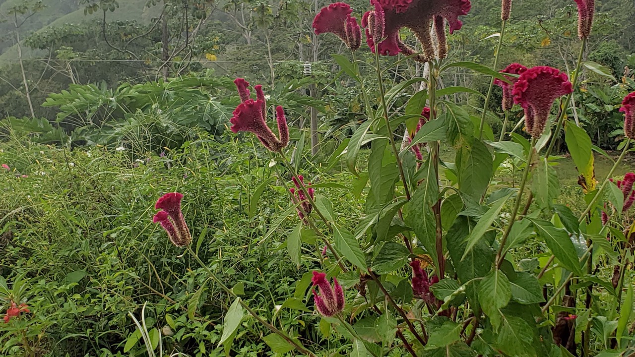 Photo of Outdoor in Cascada Azul