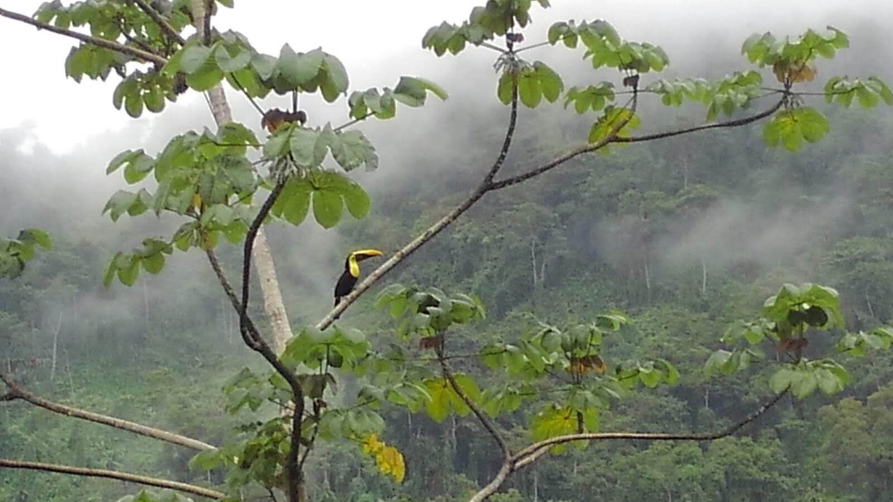 Photo of Others in Cascada Azul