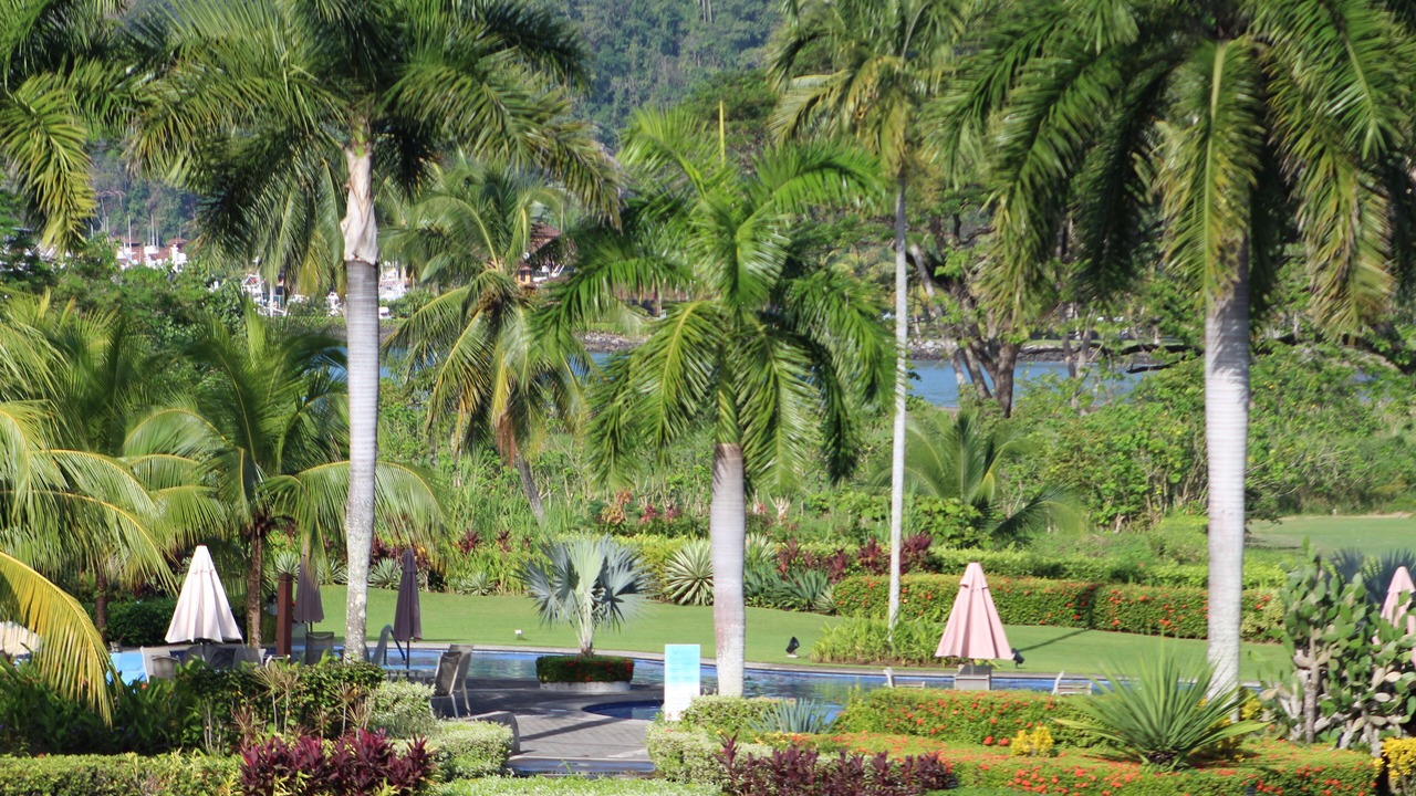 Photo of Outdoor in Cerro Plano