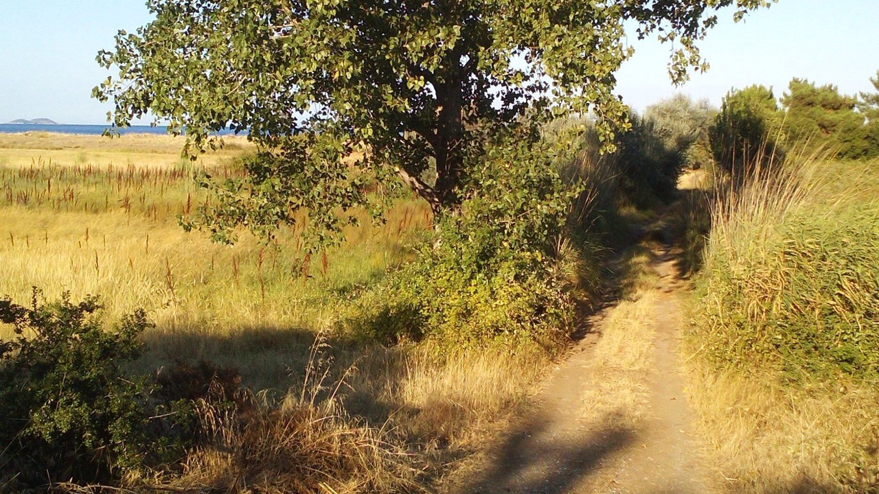 Photo of Outdoor in Aristotelis
