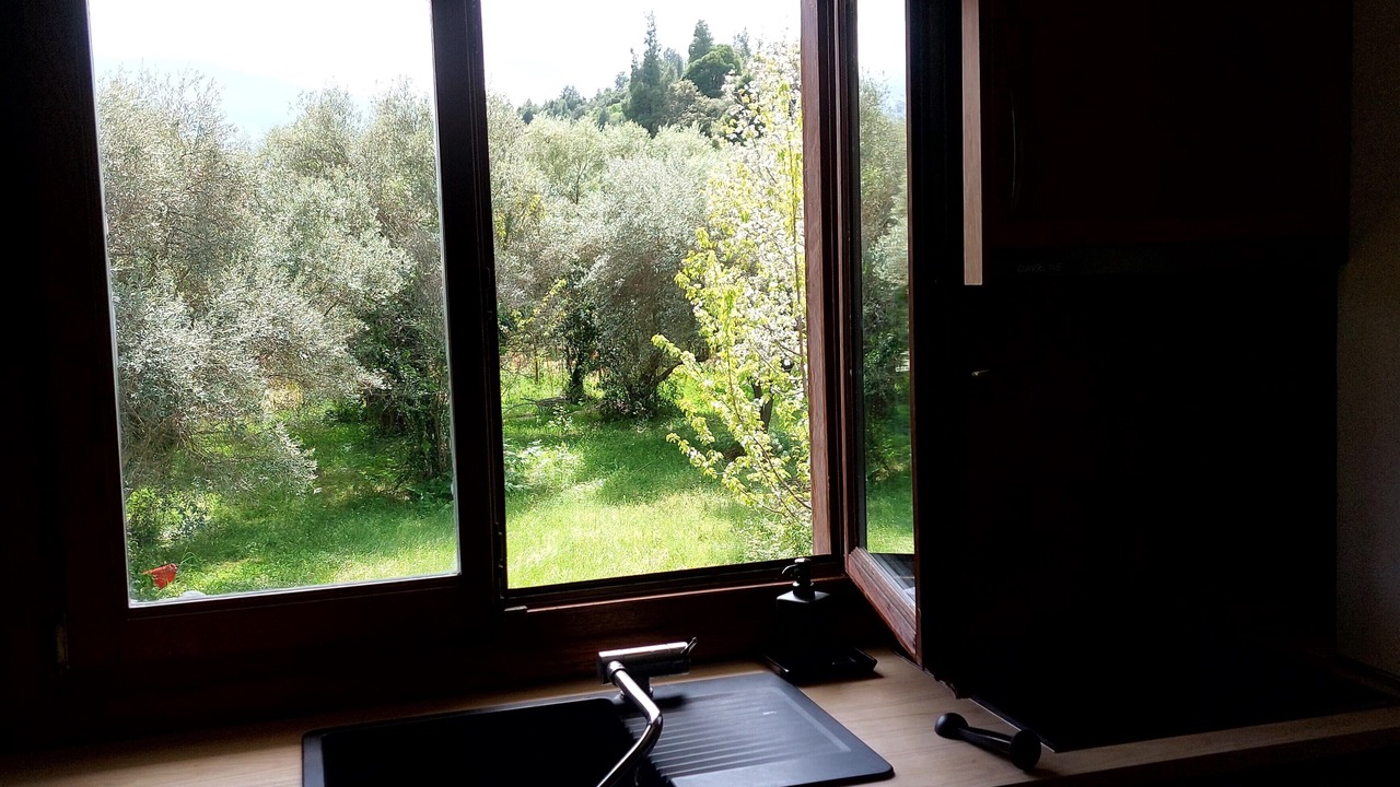 Photo of Kitchen in Aristotelis