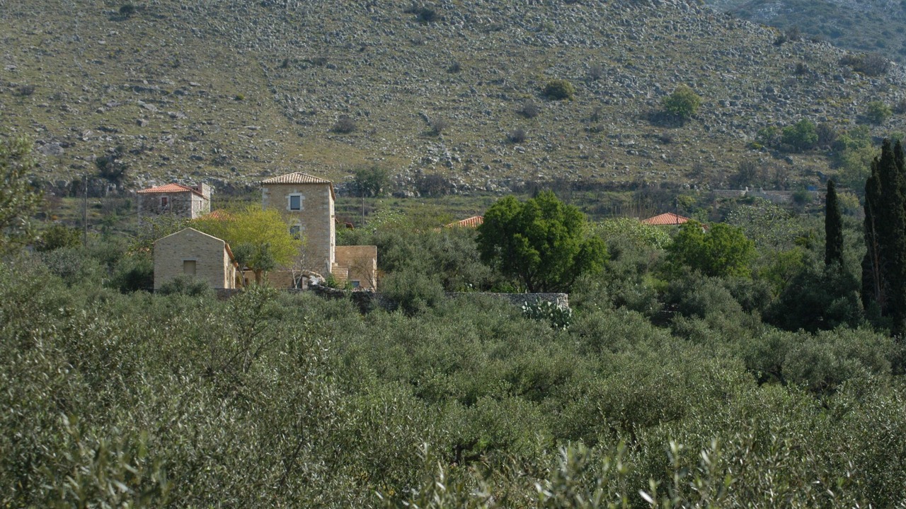 Photo of Outdoor in Thalames