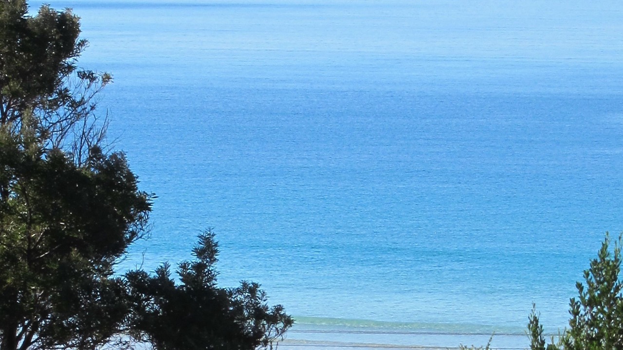Photo of Others in Spring Beach