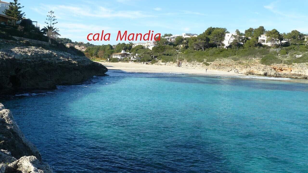 Photo of Others in Cala Mandia