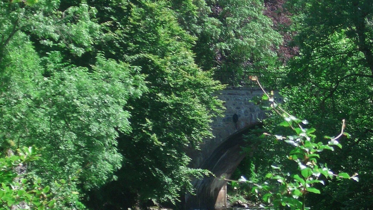 Photo of Others in Dykehead