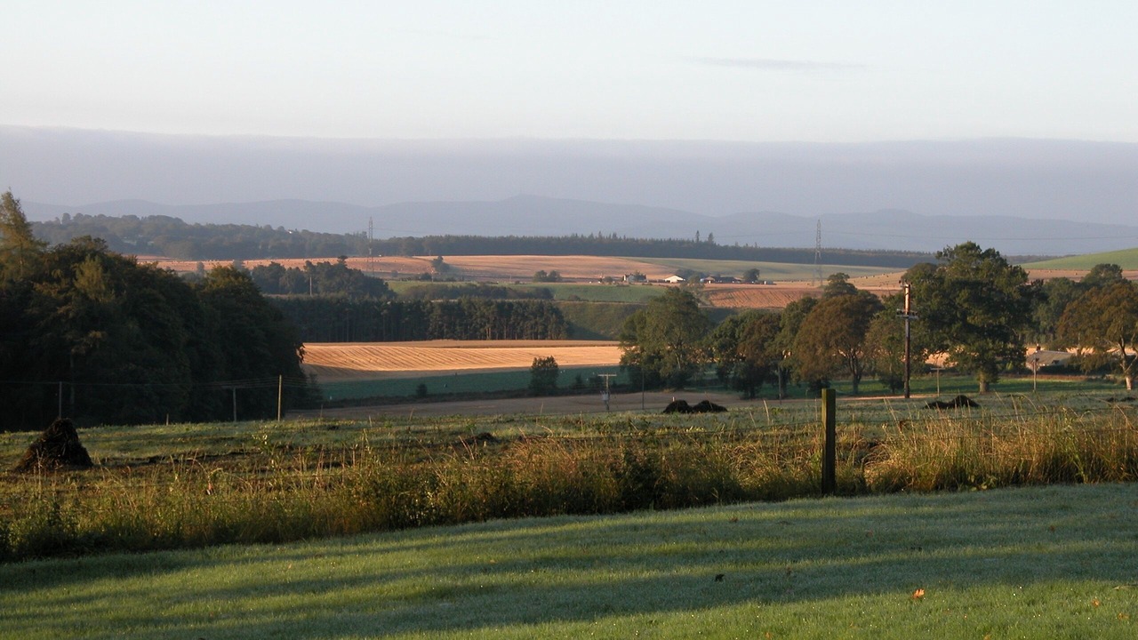 Photo of Others in Dykehead