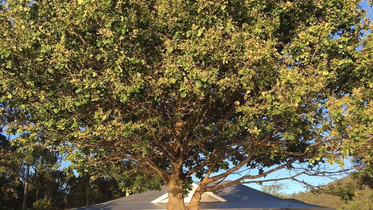 Photo of Outdoor in Middleton