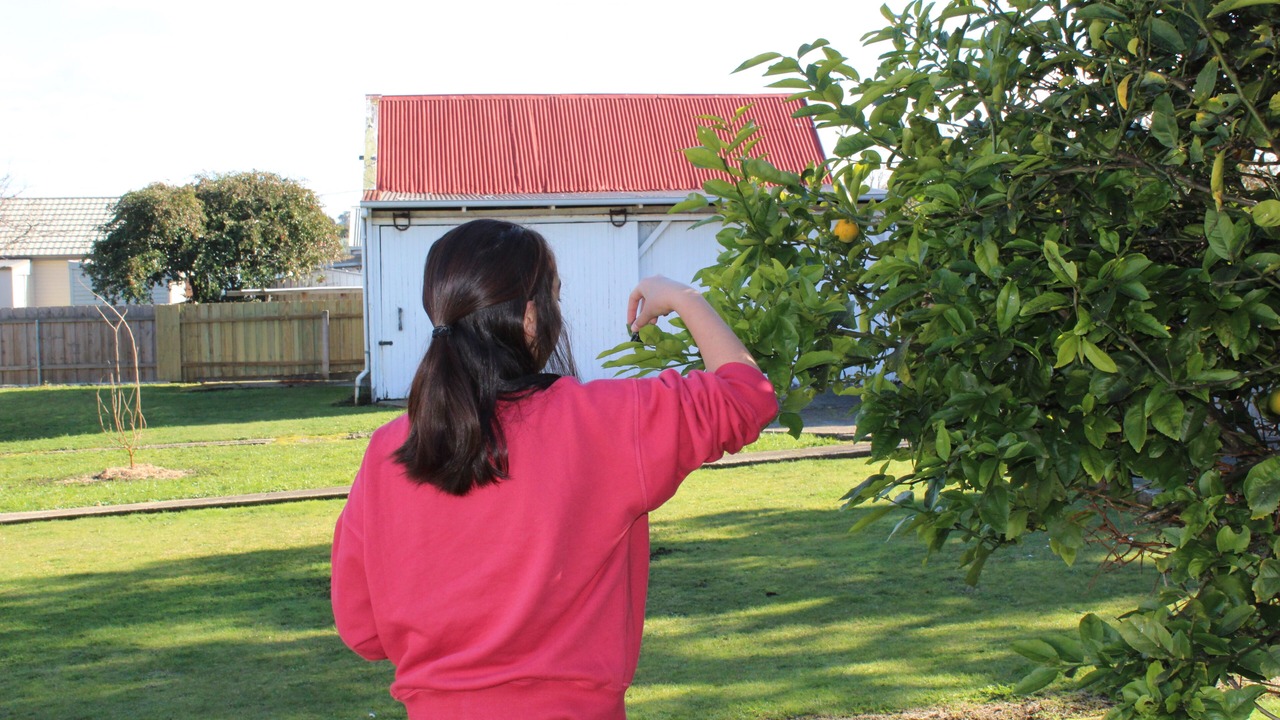 Photo of Outdoor in Devonport
