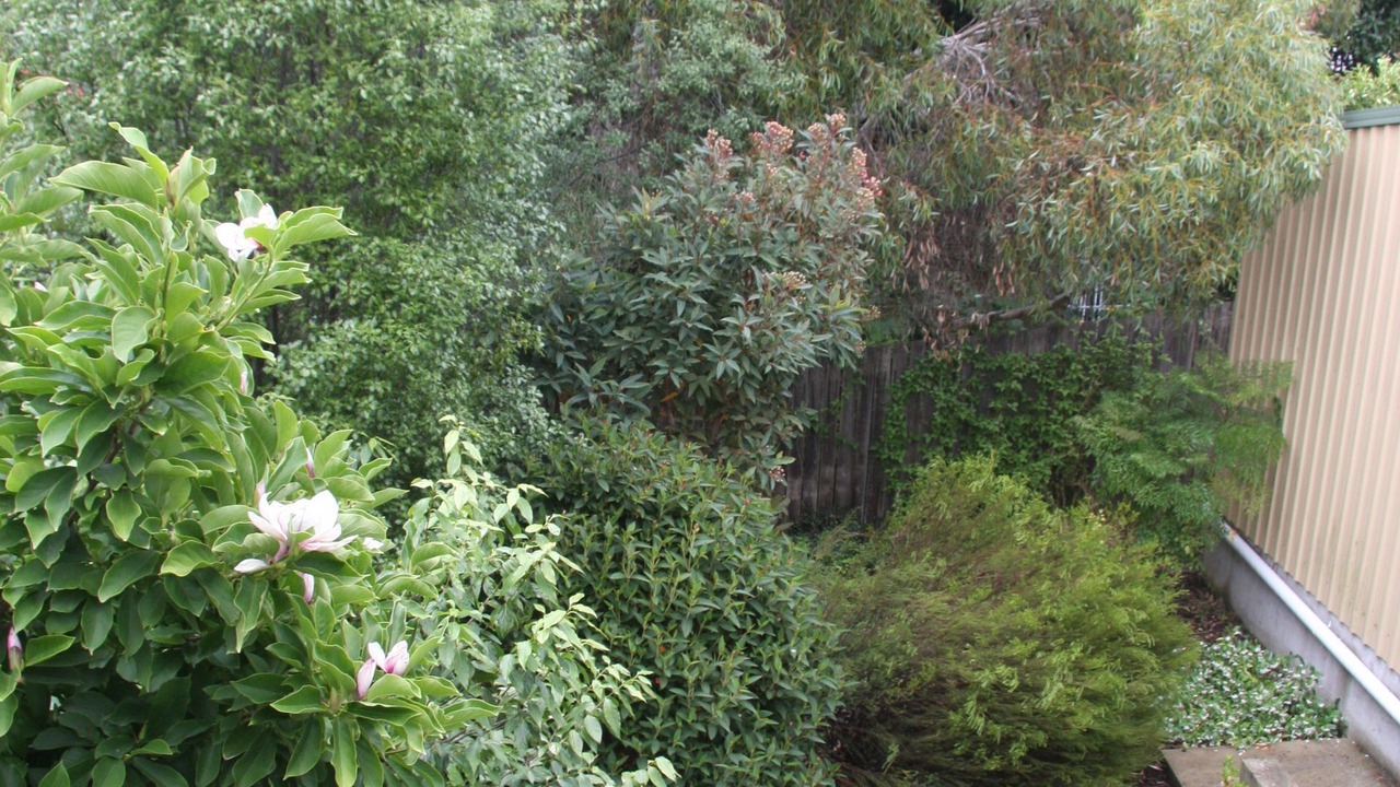 Photo of Outdoor in South Launceston