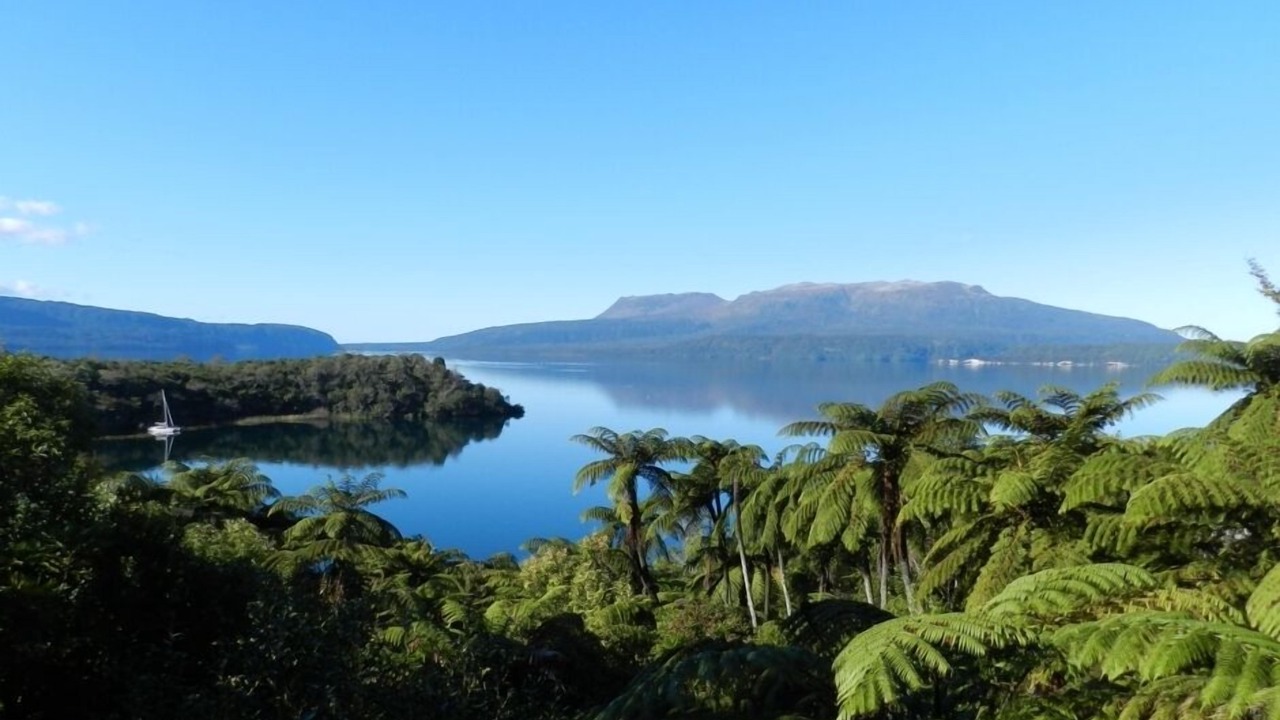 Photo of Others in Lake Tarawera