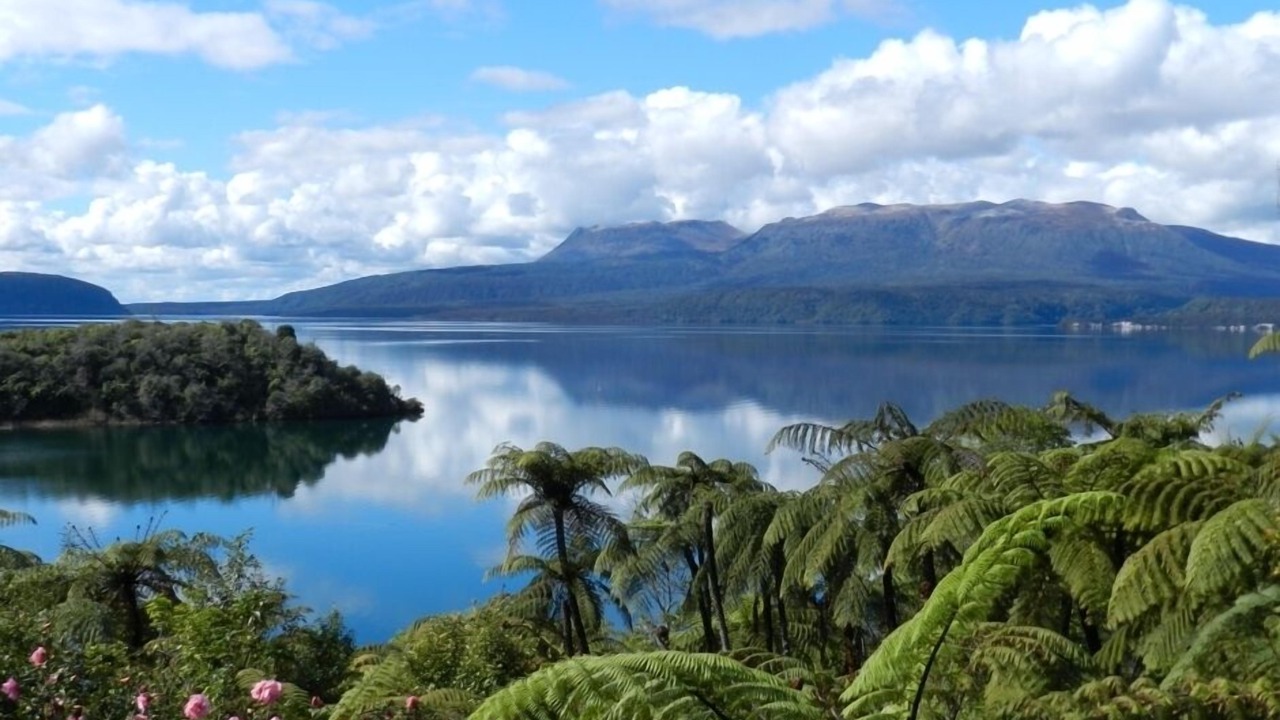 Photo of Others in Lake Tarawera