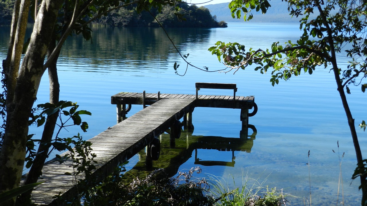 Photo of Others in Lake Tarawera