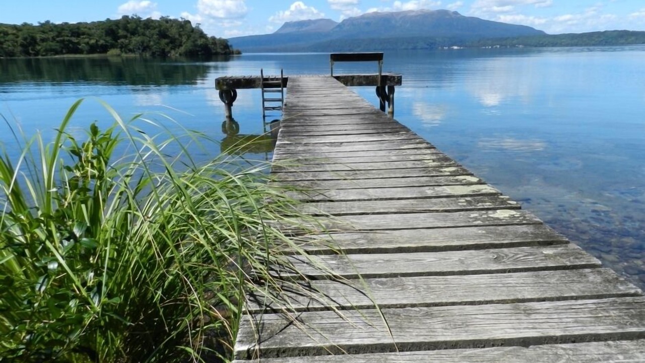 Photo of Others in Lake Tarawera