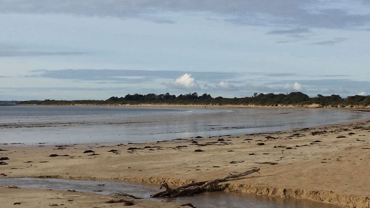 Photo of Others in Greens Beach