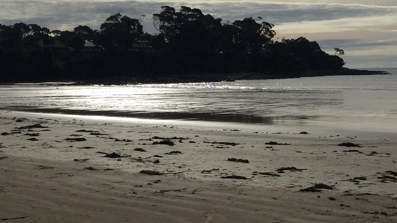 Photo of Others in Greens Beach