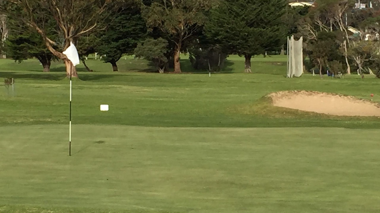 Photo of Others in Greens Beach