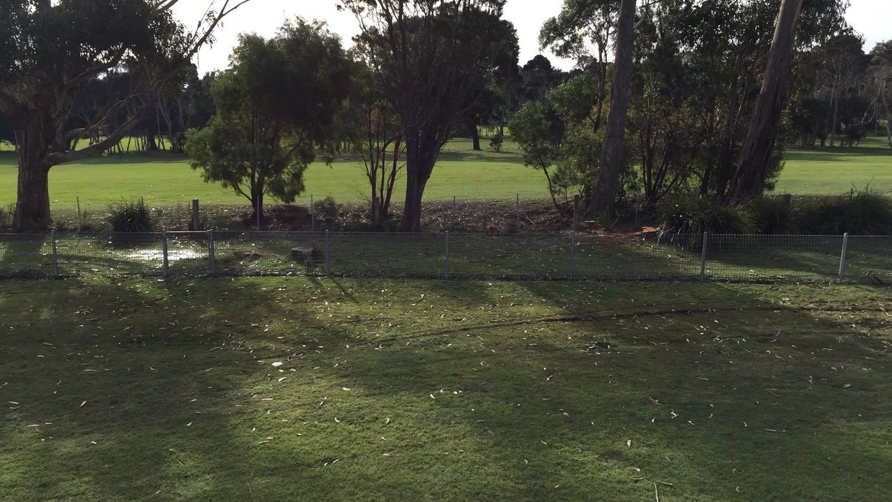 Photo of Outdoor in Greens Beach