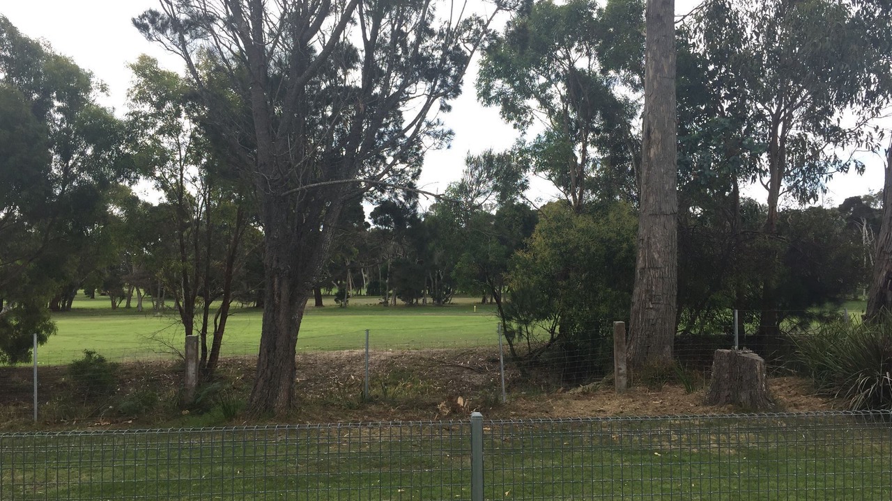 Photo of Outdoor in Greens Beach