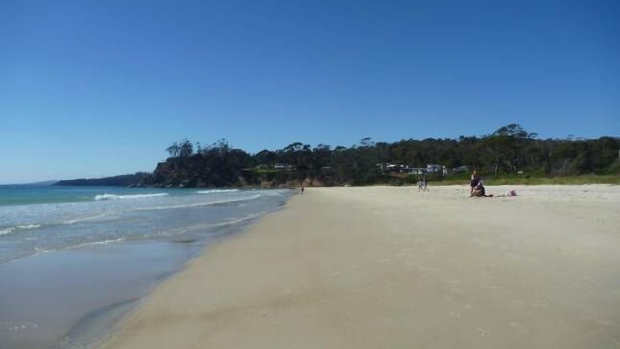 Photo of Others in Spring Beach