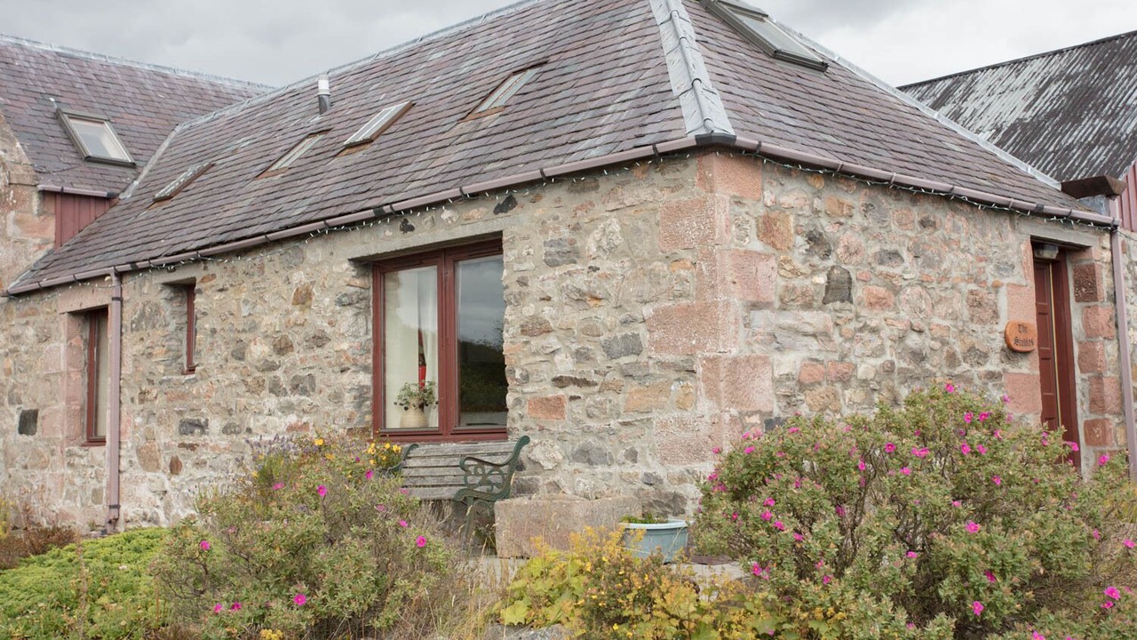 Photo of Others in Fortrose