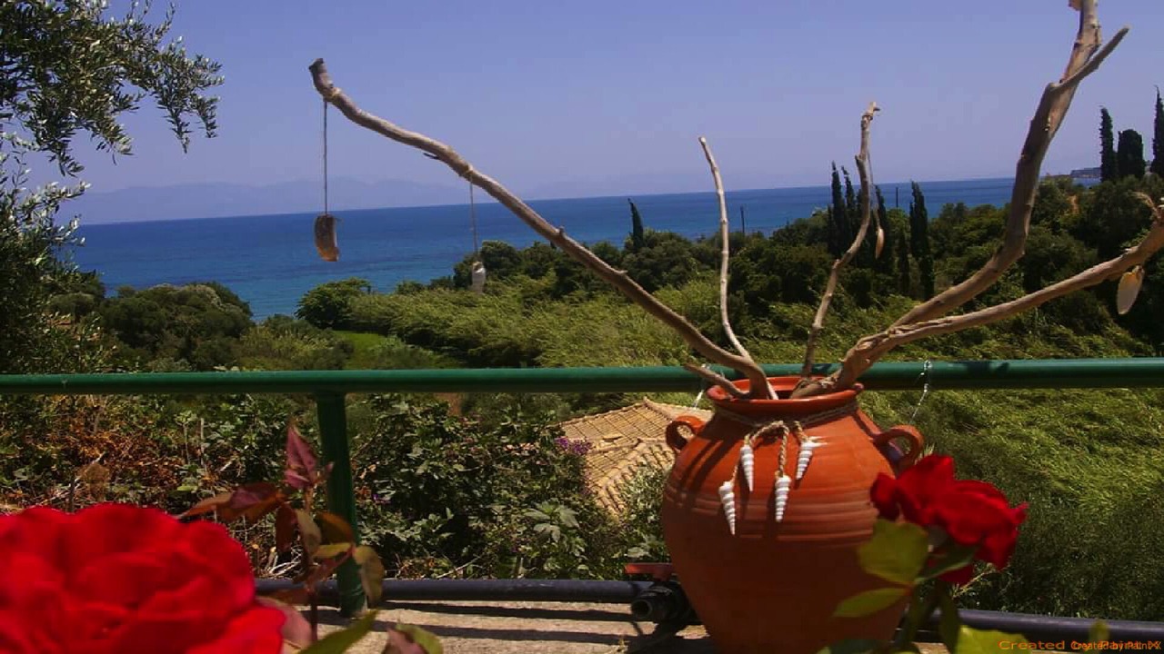 Photo of Others in Koroni