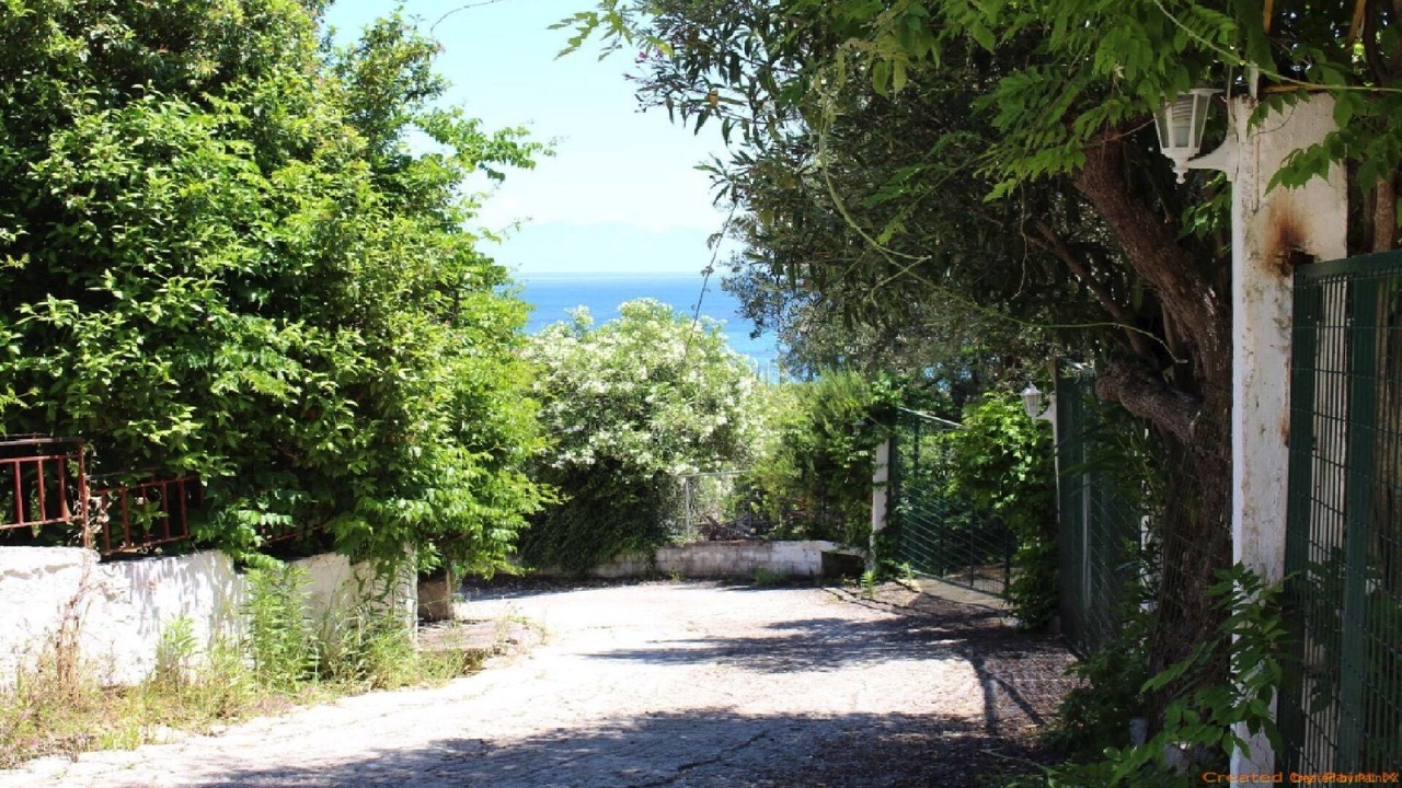 Photo of Outdoor in Koroni