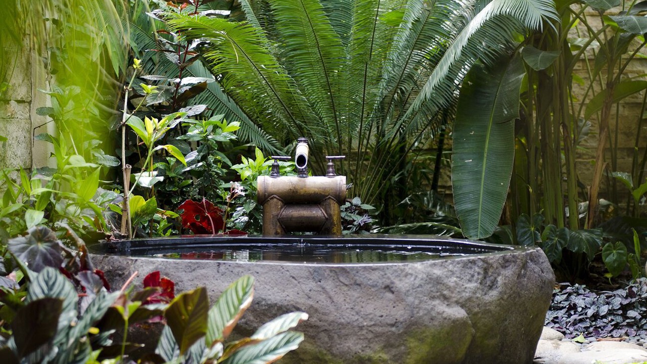 Photo of Outdoor in Dominical