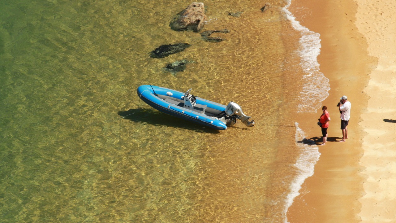 Photo of Others in Ngaio Bay