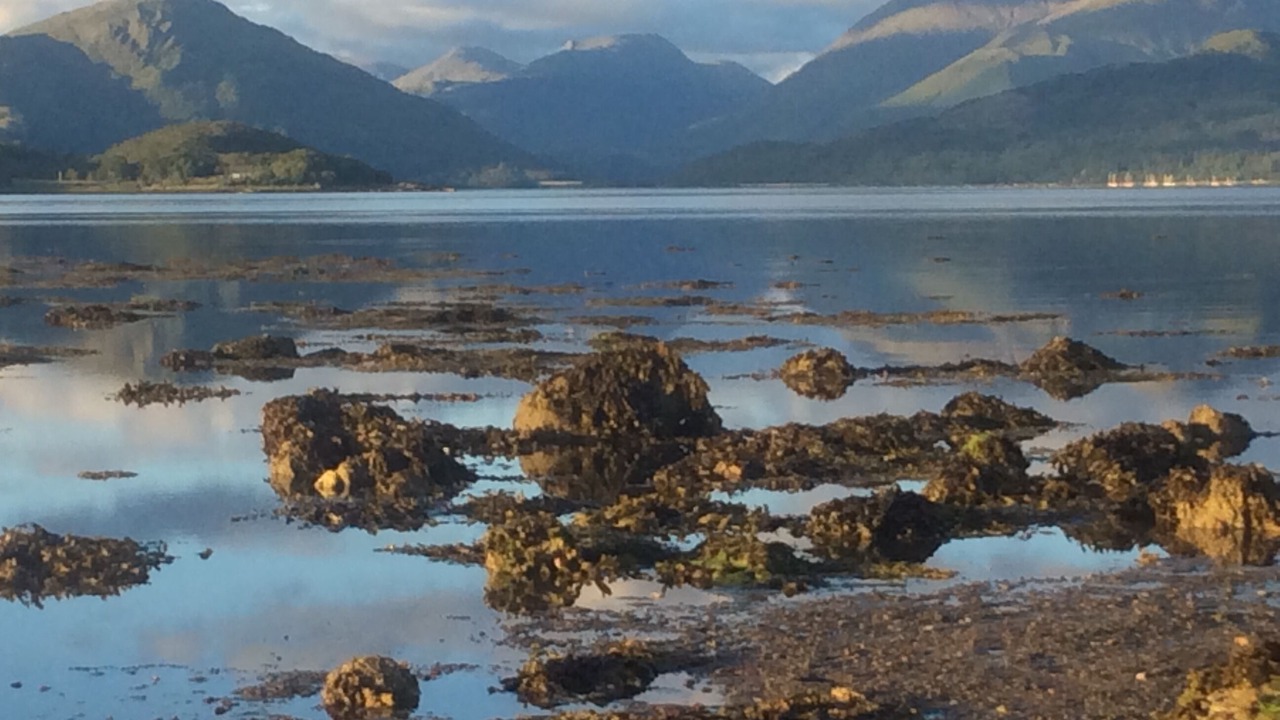 Photo of Others in Benderloch